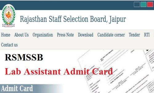 RSMSSB Lab Assistant Admit Card 2021