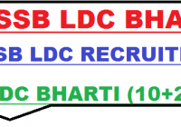 RSMSSB LDC Bharti 2023